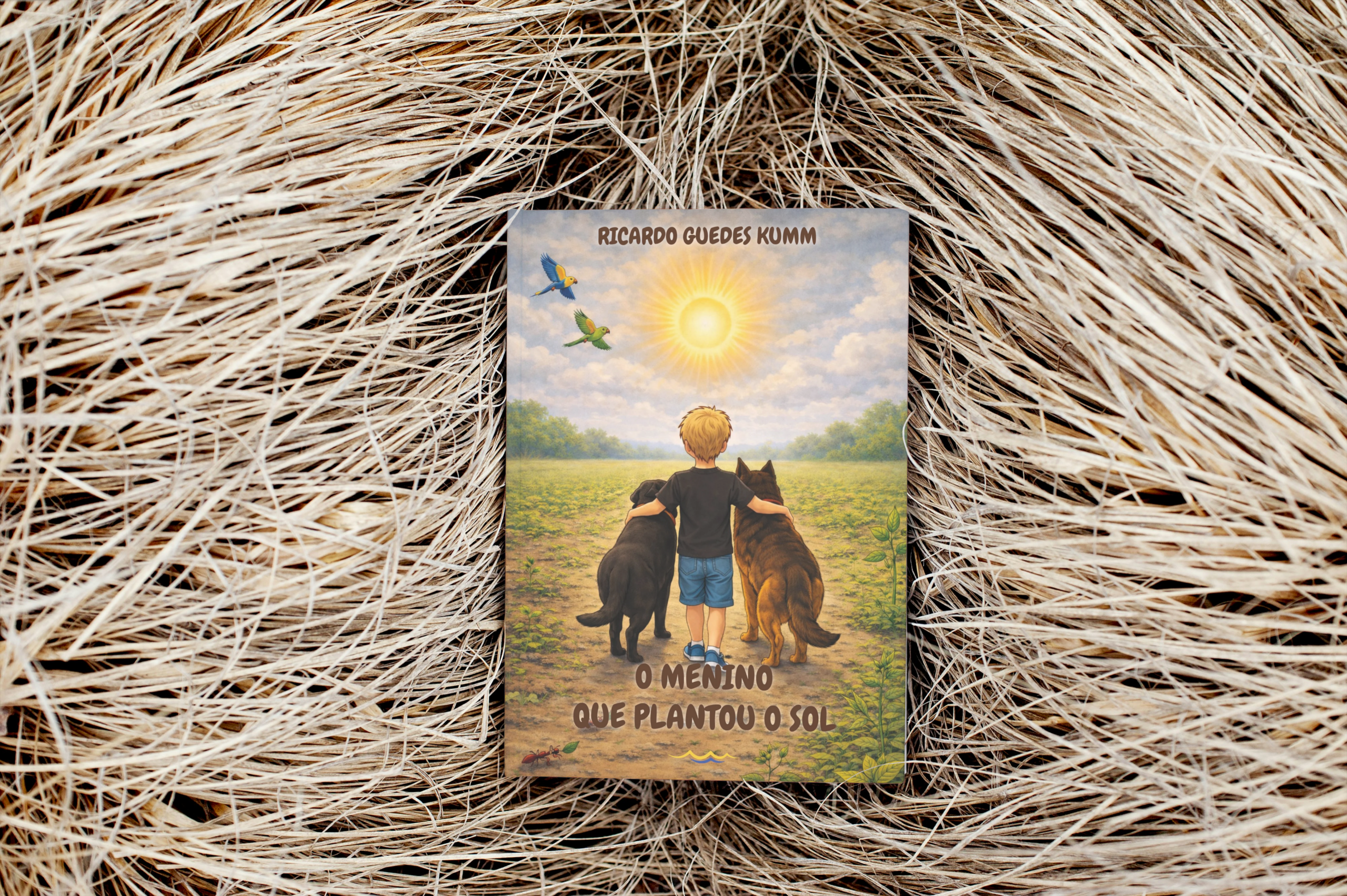 O menino que plantou o sol