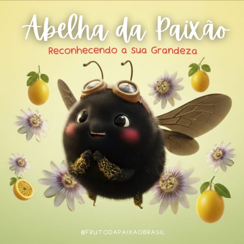 Abelha da Paixão — Reconhecendo a sua Grandeza