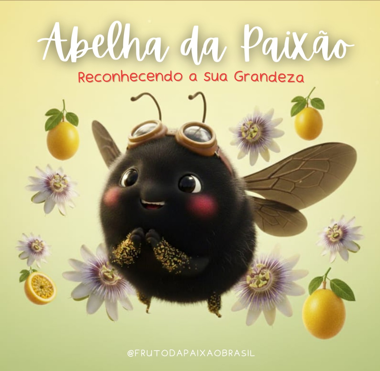 Abelha da Paixão — Reconhecendo a sua Grandeza