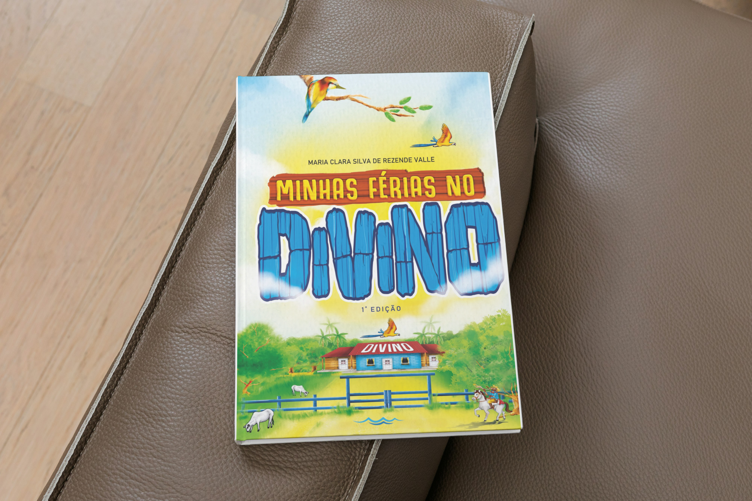 Minhas Férias no Divino